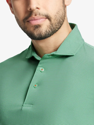 EMERALD STRIPE Pinstripe Jersey Performance Polo front view from nose to chest								

