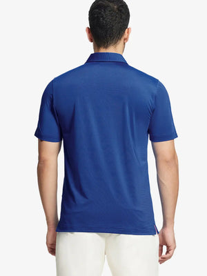 Back half-body view of COBALT STRIPE Pinstripe Jersey Performance Polo worn by model								
