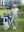 Model on course holding club and bag in Women's 7/8 ankle golf track pants, light grey